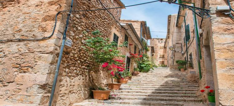 Circe - Villa With Private Pool In Fornalutx图片