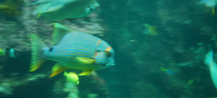 Beautiful holiday home by the sea in Penmarch图片