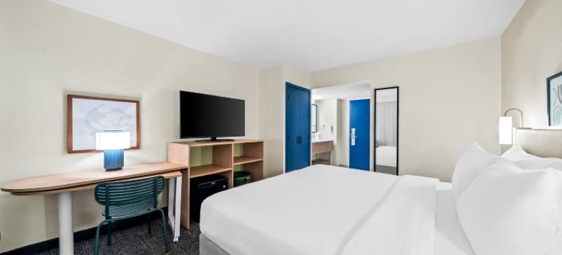 奥兰多环球影城希尔顿Spark酒店(Spark by Hilton Orlando Near Universal)图片