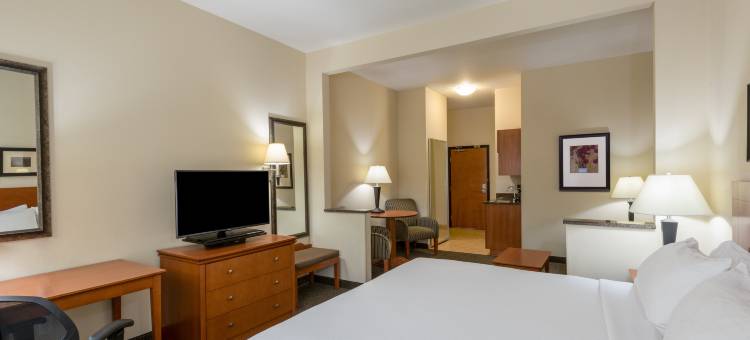 Holiday Inn Express & Suites Vernal - Dinosaurland by IHG图片