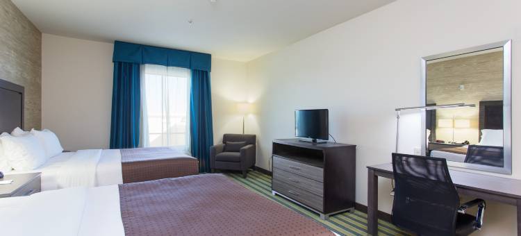 Holiday Inn 特克萨卡纳 - 会议中心(Holiday Inn Texarkana Arkansas Conv Ctr)图片