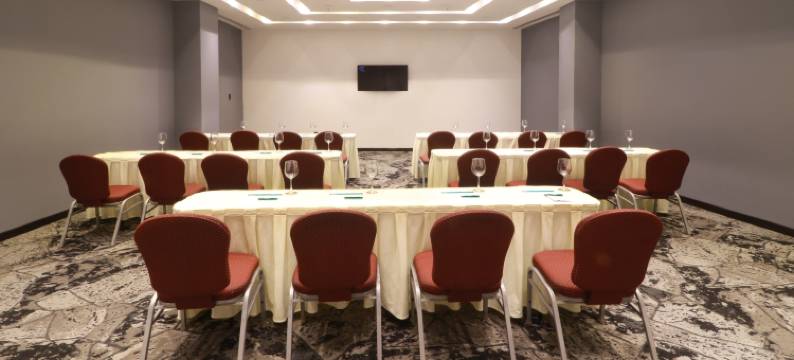 瓜那华托英迪格酒店(Hotel Indigo GUANAJUATO by IHG)图片