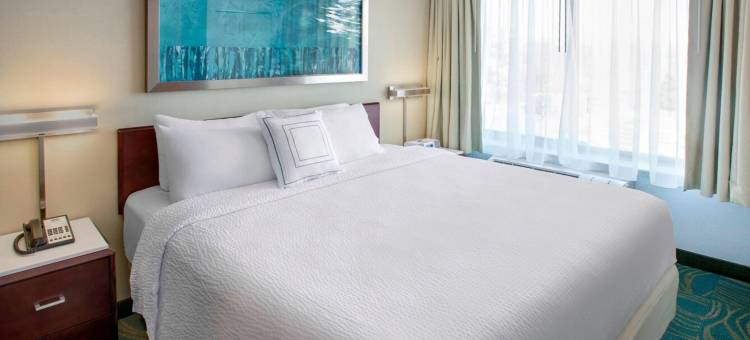 费城威洛格罗夫万豪SpringHill酒店(SpringHill Suites Philadelphia Willow Grove)图片