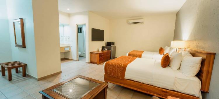 坦皮科舒适酒店(Comfort Inn Tampico)图片