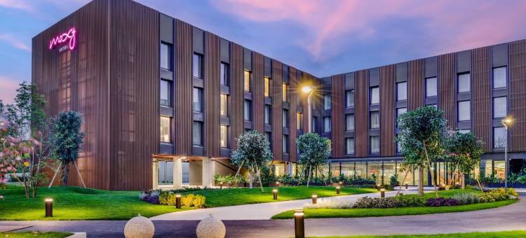 Moxy 庞贝(Moxy Pompeii)图片