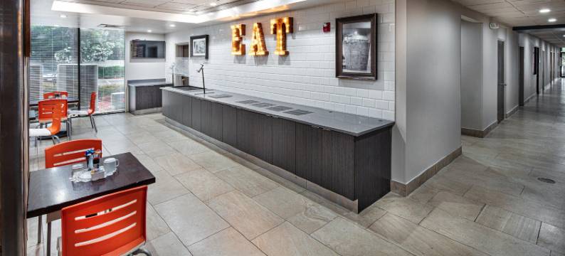 Holiday Inn 亚特兰大诺斯莱克(Holiday Inn ATLANTA-NORTHLAKE by IHG)图片