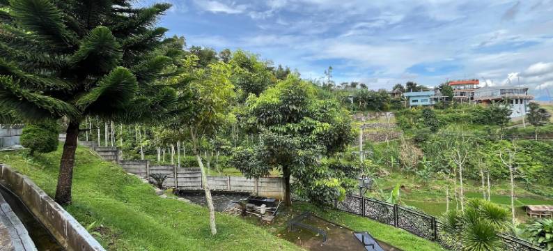 塔玛斯图阿涅莫斯度假村(Anemos Resort By Tamastu)图片