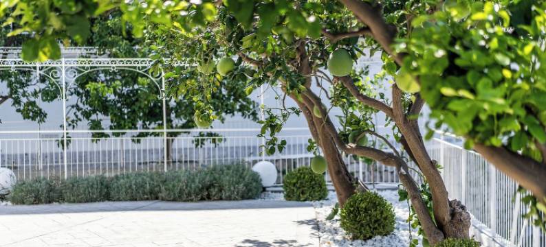 拉帕加亚别墅(Villa la Pagaia)图片