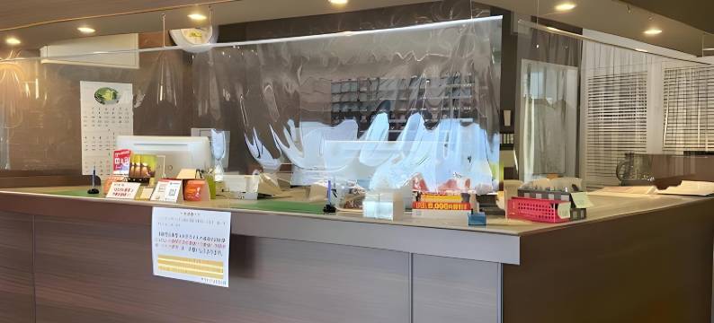 棕榈天文馆酒店(Hotel Palms Tenmonkan)图片