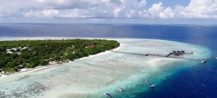 邦邦岛度假村(POM POM Island Resort)图片
