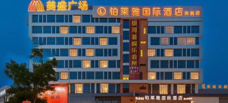 铂莱雅国际酒店(佛山西站店)图片