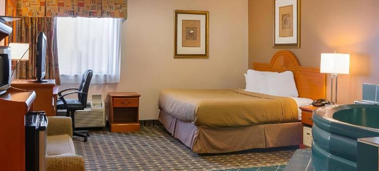 品质酒店及套房底特律大都会机场(Quality Inn & Suites Detroit Metro Airport)图片