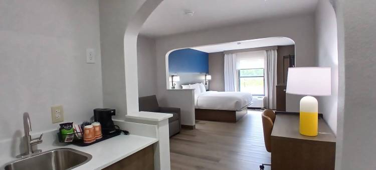 舒适酒店(Comfort Inn Near Downtown & Blue Ridge Pkwy)图片