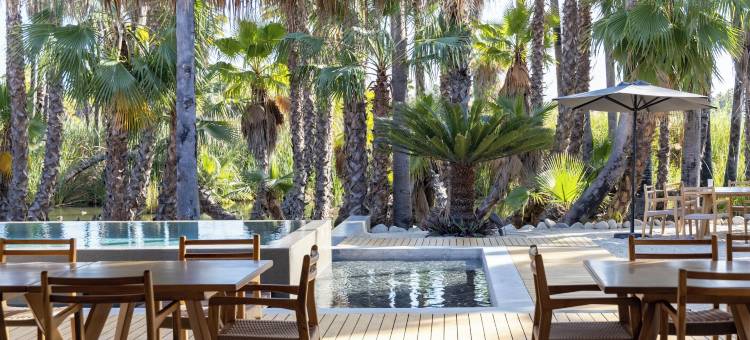 NEST 洛斯卡波斯(Nest Los Cabos)图片