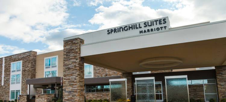 萨默塞特县Franklin Township SpringHill Suites酒店(SpringHill Suites Somerset Franklin Township)图片