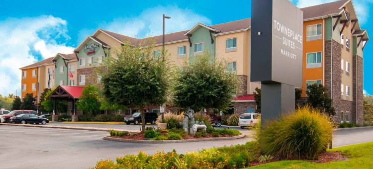 巴吞鲁日冈萨雷斯万豪TownePlace套房酒店(TownePlace Suites Baton Rouge Gonzales)图片