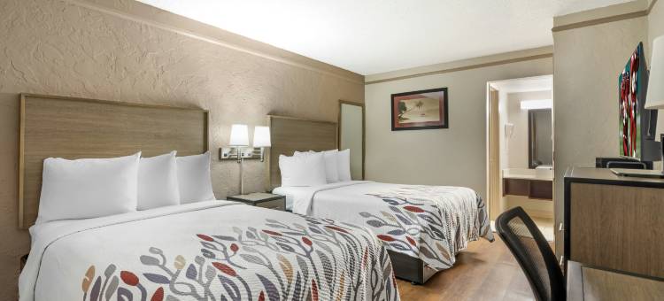 圣彼得堡坦帕湾红顶酒店(Red Roof Inn Tampa Bay - St. Petersburg)图片