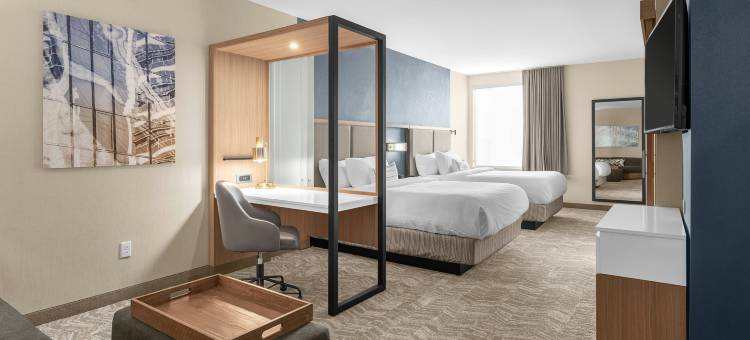 杰克逊万豪SpringHill Suites酒店(SpringHill Suites Jackson)图片