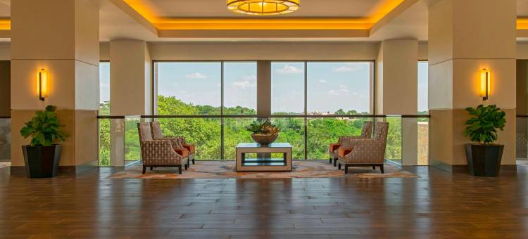 奥斯汀乔治敦喜来登酒店和会议中心(Sheraton Austin Georgetown Hotel & Conference Center)图片