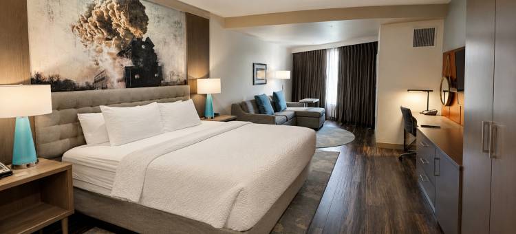 弗里斯科英迪格酒店(Hotel Indigo FRISCO by IHG)图片