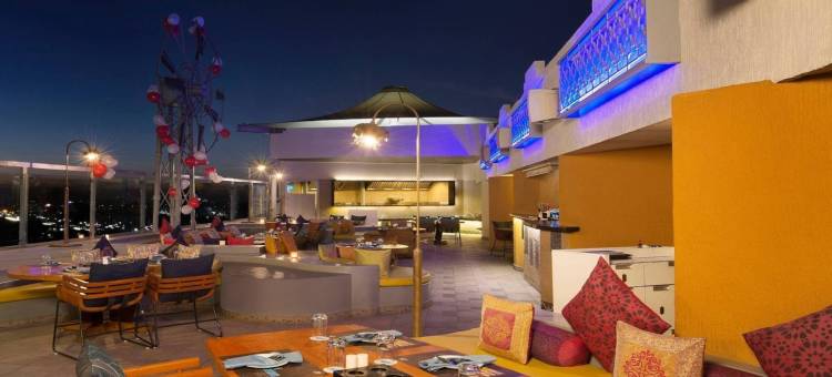 萨耶吉印多尔酒店(Sayaji Indore)图片