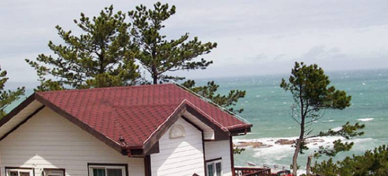 盈德达尔宁旅馆(Yeongdeok Dalnim Pension)图片