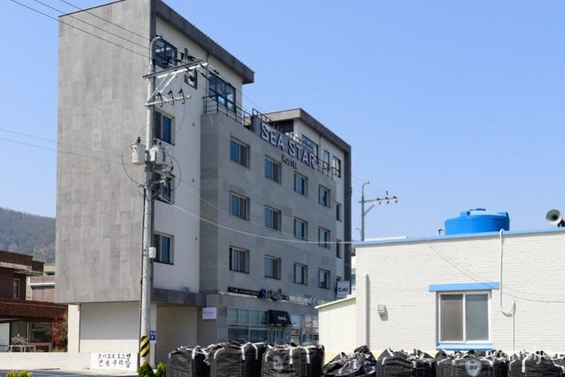 Sea Star Hostel Hotel Overview