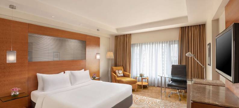 艾哈迈达巴德丽笙酒店(Radisson Blu Hotel Ahmedabad)图片