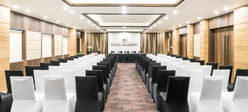 马尔伯里酒店(Hotel Mulberry)图片