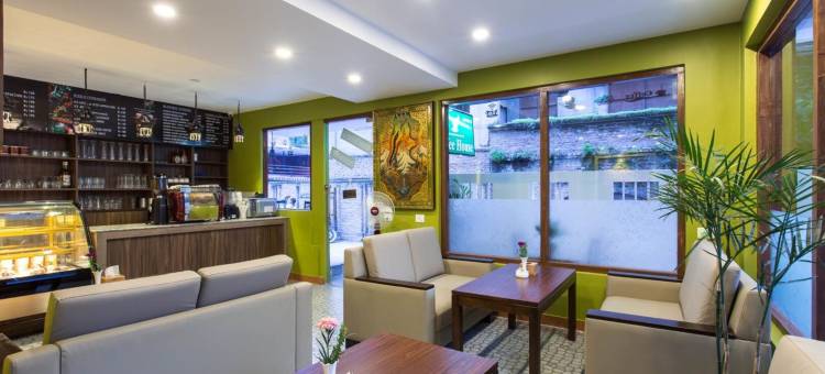 加德满都绿洲住宿加早餐旅馆(Oasis Kathmandu Hotel)图片