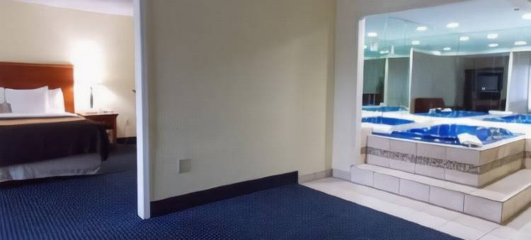 夏洛特机场上城舒适酒店(Comfort Inn Charlotte Airport Uptown)图片