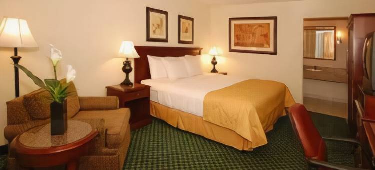 卡纳维拉尔港地区(Island Hotel of Space Coast)图片