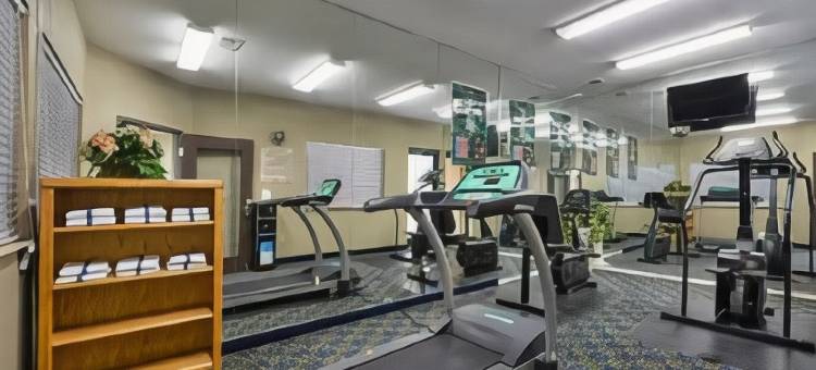 凯艺套房酒店(Quality Inn & Suites)图片