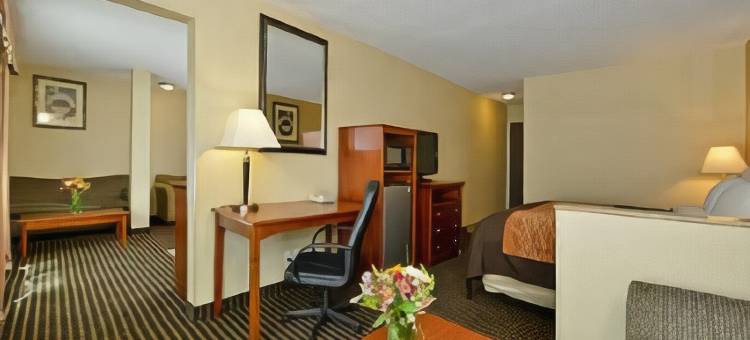 温馨酒店及套房温哥华市中心(Comfort Inn & Suites Vancouver Downtown City Center)图片