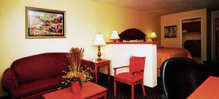 太阳城中心坦帕南舒适酒店(Comfort Inn Sun City Center - Ruskin - Tampa South)图片