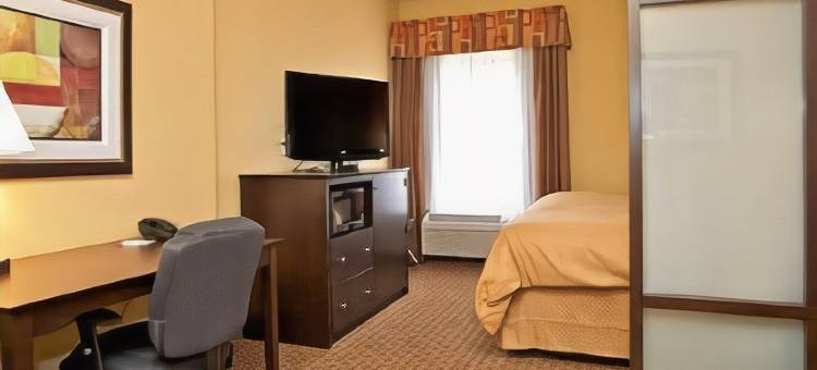 舒适套房酒店-黄金群岛(Comfort Suites Golden Isles Gateway)图片