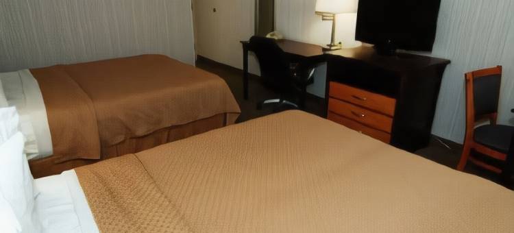 凯艺会议中心酒店(Quality Inn & Conference Centre)图片