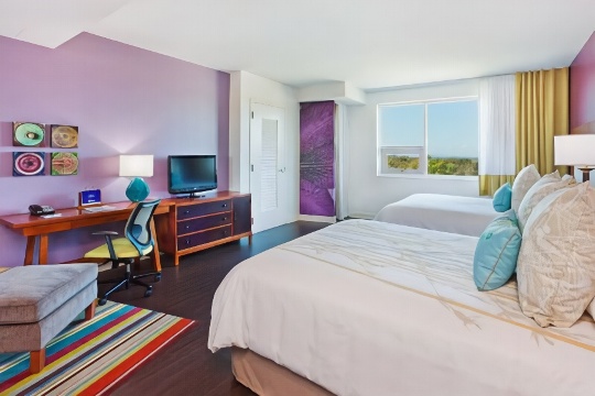 Hotel Indigo ASHEVILLE DOWNTOWN by IHG Over view