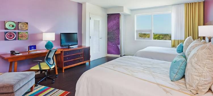 阿什维尔市中心英迪格酒店(Hotel Indigo Asheville Downtown)图片