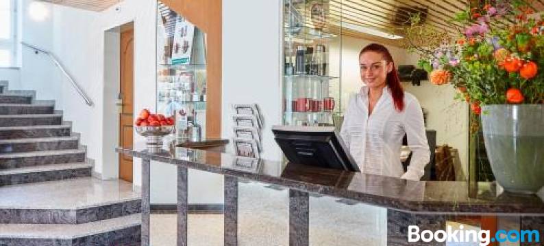 加尼安德鲁斯酒店(Hotel an der Reuss)图片