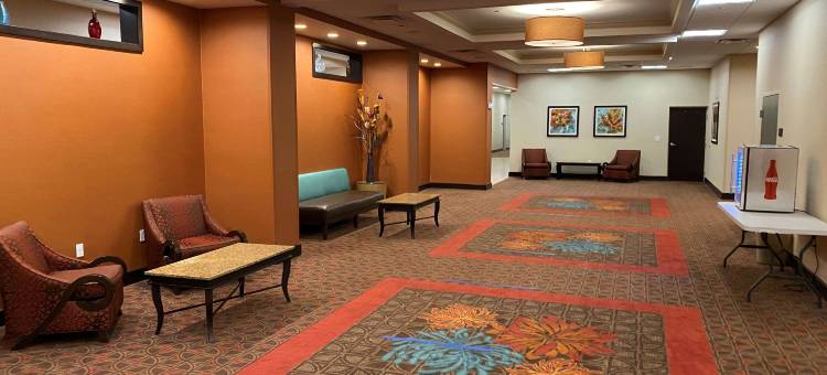 坦帕西北/奥尔兹马欢朋套房酒店(Hampton Inn & Suites Tampa Northwest/Oldsmar)图片
