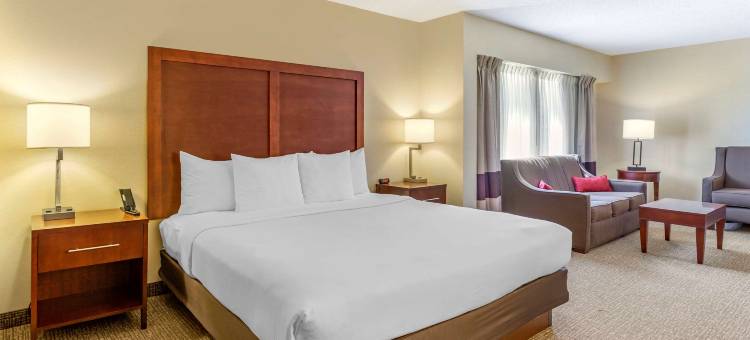 昆提科斯塔福德舒适酒店(Comfort Inn Quantico)图片