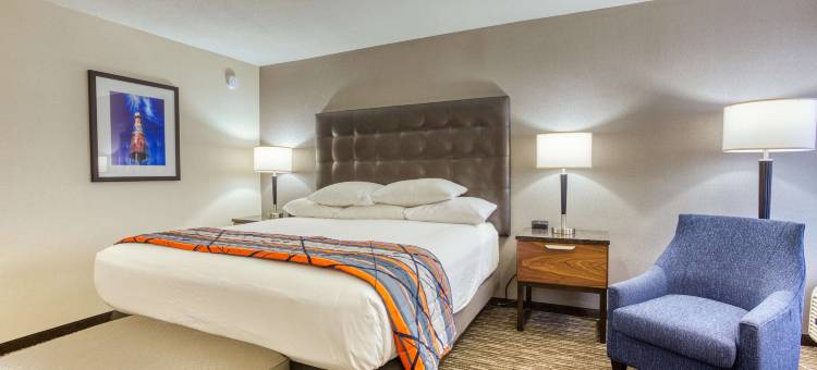 圣路易斯-柯林斯威尔德鲁里酒店(Drury Inn and Suites St Louis Collinsville)图片