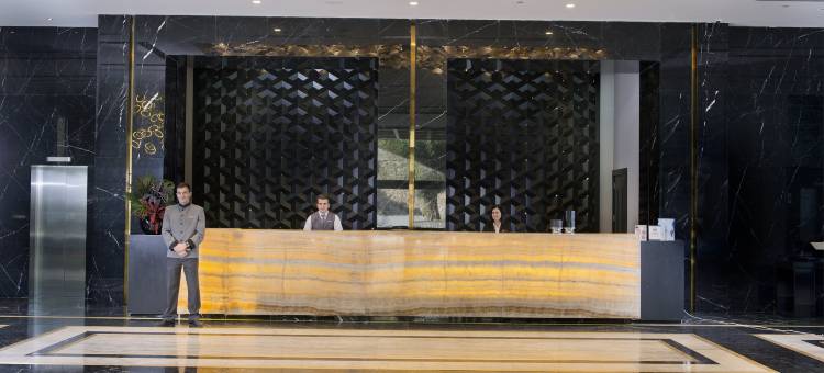 特拉布宗温德姆华美达广场酒店(Ramada Plaza by Wyndham Trabzon)图片