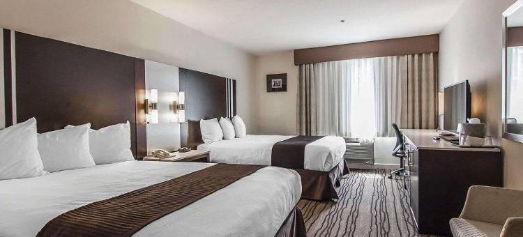 温哥华机场Comfort酒店(Comfort Hotel Vancouver Airport)图片
