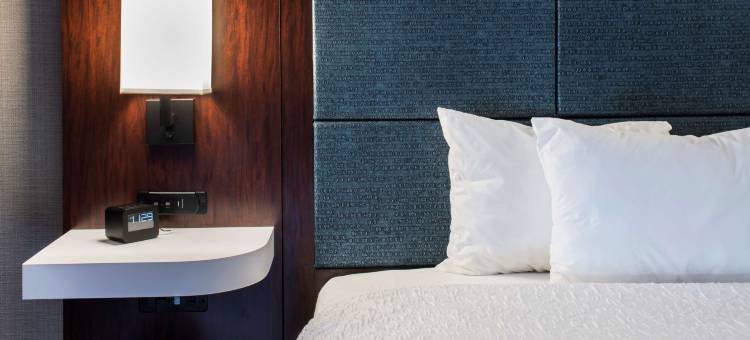 林肯郡希尔顿欢朋旅馆&套房酒店(Hampton Inn & Suites Chicago/Lincolnshire)图片