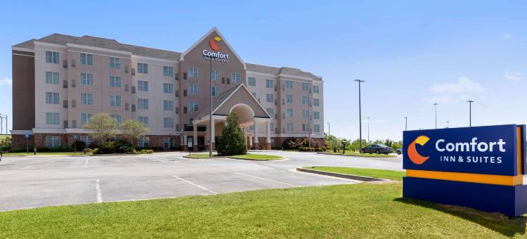 舒适套房酒店(Comfort Inn & Suites)图片