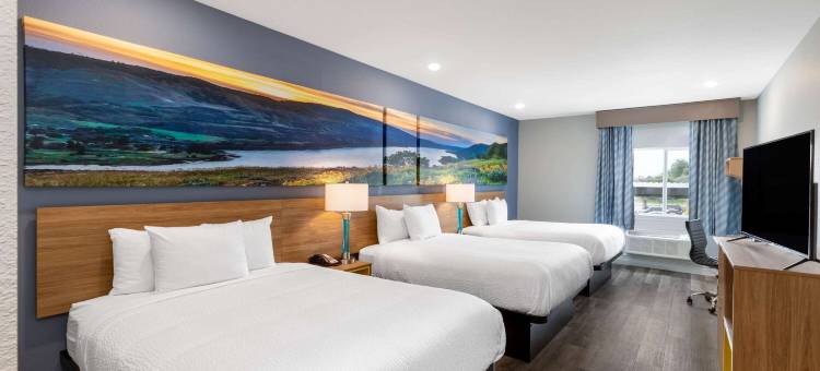 市中心休斯顿大学温德姆戴斯套房酒店(Days Inn & Suites by Wyndham Downtown/University of Houston)图片