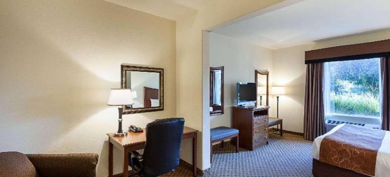 舒适套房酒店-圣安东尼奥北斯通奥克(Comfort Suites San Antonio North - Stone Oak)图片