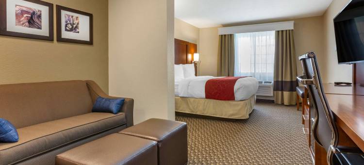 舒适套房酒店-菲尼克斯机场(Comfort Suites Phoenix Airport)图片